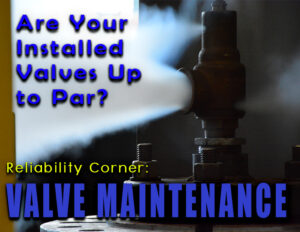 Industrial Valve Maintenance 